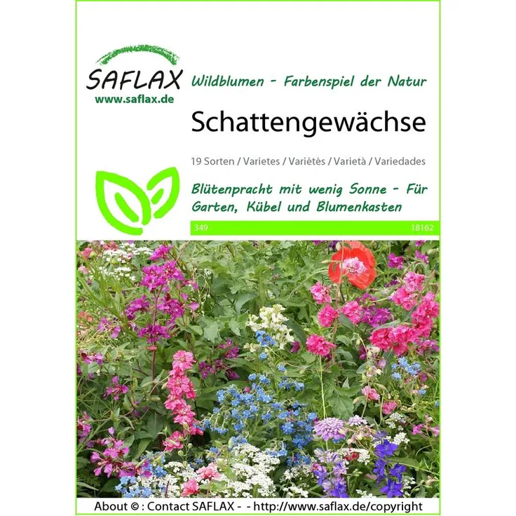 SAFLAX Blumenwiese Schattengewächse Wildblumenwiese von Saflax