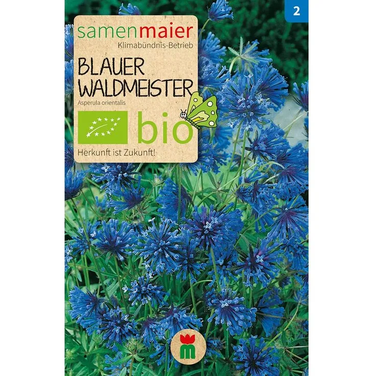 SAMEN MAIER Blauer Waldmeister | BIO Heilpflanzensamen von Samen Maier