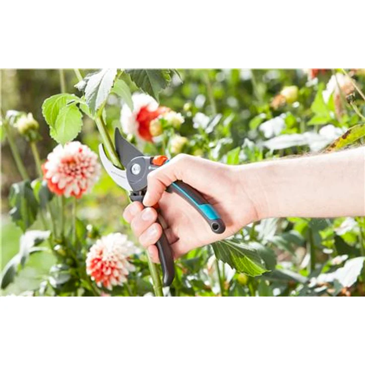 GARDENA Gartenschere B-M: Pflanzenschonende Baumschere mit Bypass-Schneide für Äste und Zweige, max. Schneid-Durchmesser 24 mm, integrierte Feder im Griff, antihaftbeschichtetes Obermesser 8904-20 mittelgroß – Bild 3