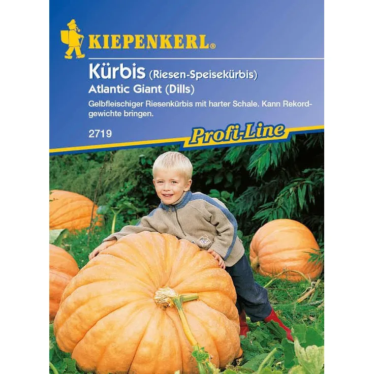 Kiepenkerl Kürbis Atlantic Giant (Dills)
