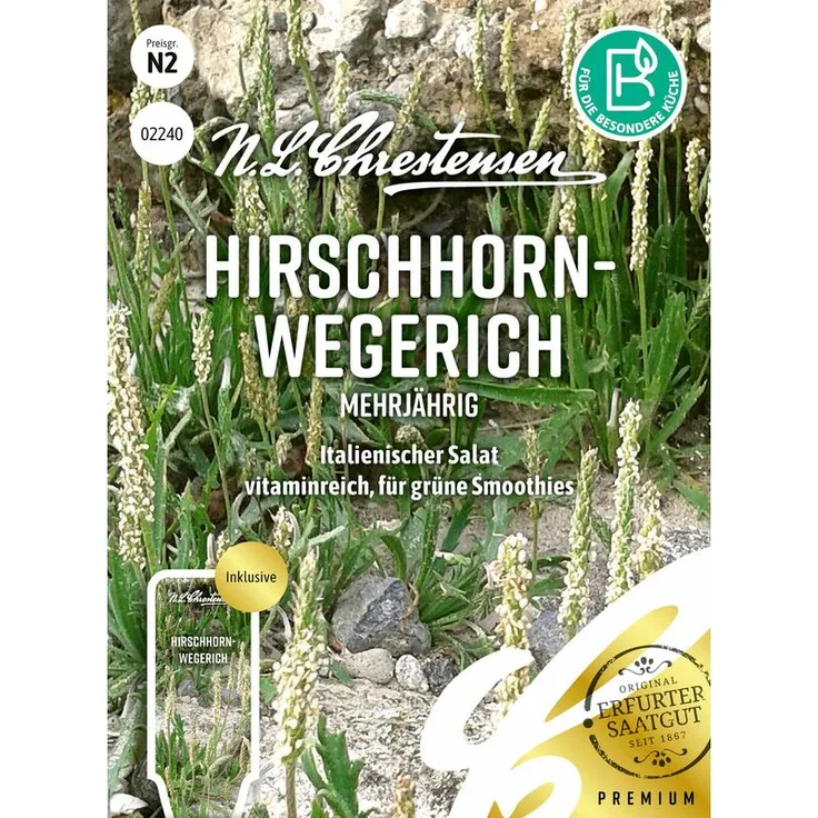 N.L. CHRESTENSEN Hirschhornwegerich Mehrjährig Kräutersamen 