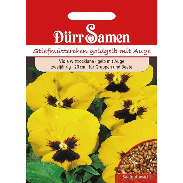 DÜRR-SAMEN Dürr-samen - Stiefmütterchen goldgelb mit Auge | Stiefmütterchensamen 