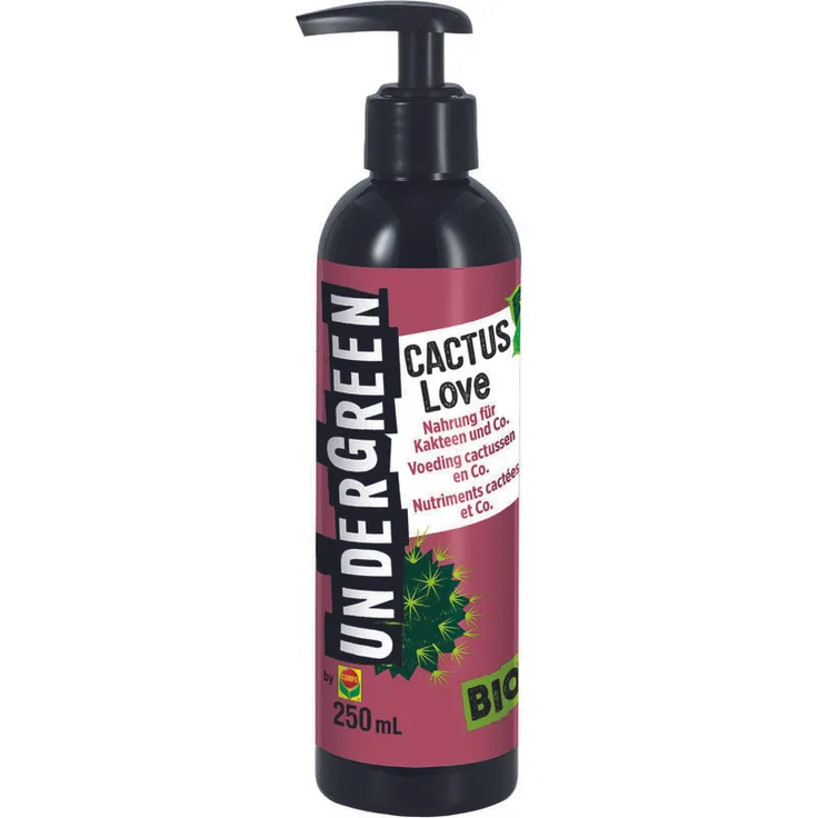 Compo Bio-Lebensmittel Kakteen & Co. Under Green Cactus Liebe 250ml