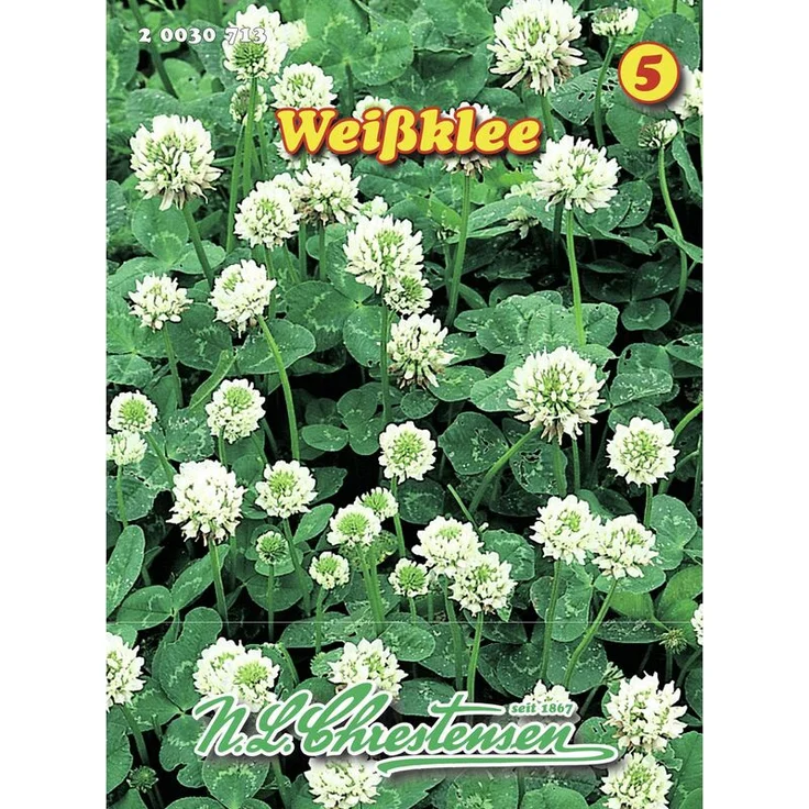 N.L. CHRESTENSEN Weißklee | Gründünger 