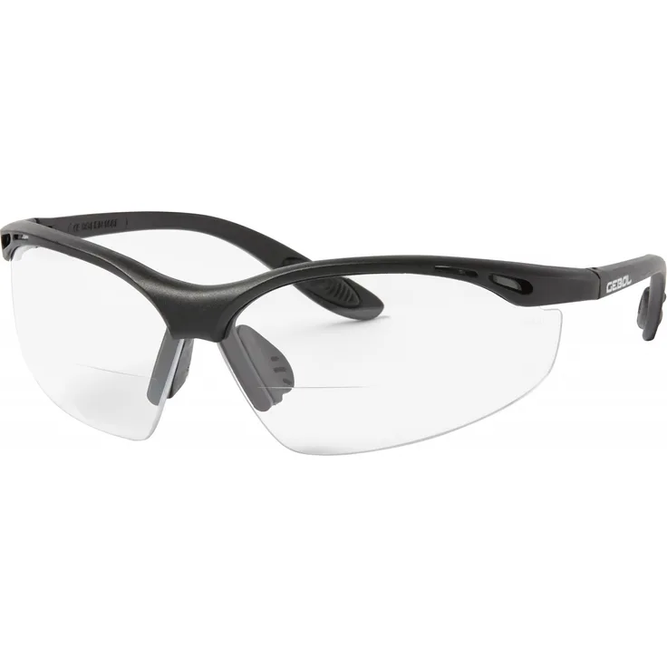 Gebol Schutz- und Lesebrille Reader klar