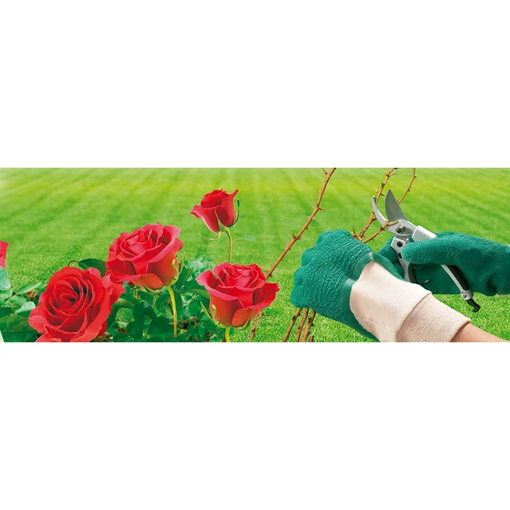 Spontex Protect Gartenhandschuhe, extra robust für Dornen und Hecken, mit Naturlatexbeschichtung, Größe M, 1 Paar – Bild 2