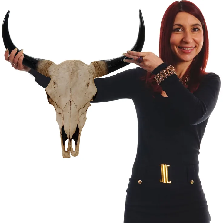 Deko Schädel 45cm HWC-T454, Polyresin Stier Bulle Longhorn Kopf Trophäe, In-Outdoor natur