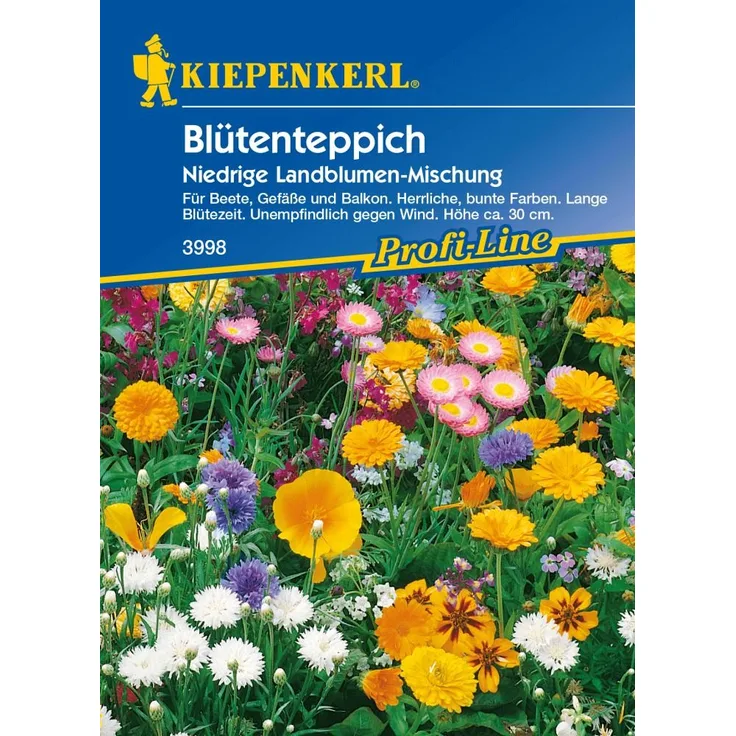 Kiepenkerl Saatgut Blütenteppich 2 m²