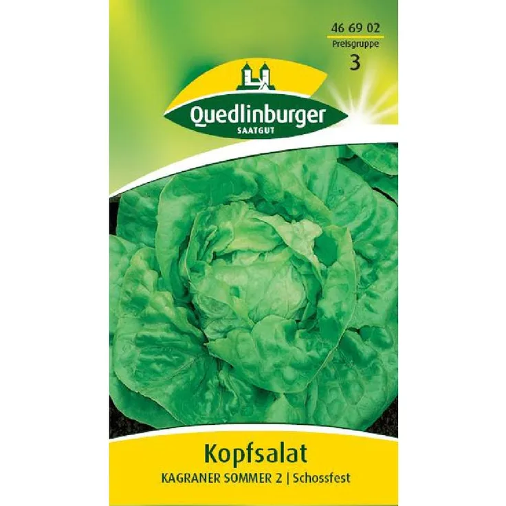 QUEDLINBURGER Kopfsalat, Kagraner Sommer 2