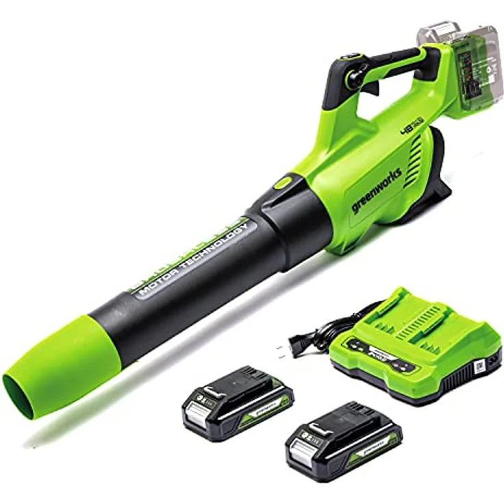 Greenworks Axial Akku-Laubbläser GD24X2BVK2X Li-Ion 2x24V 225km h Luftgeschwindigkeit leistungsstark