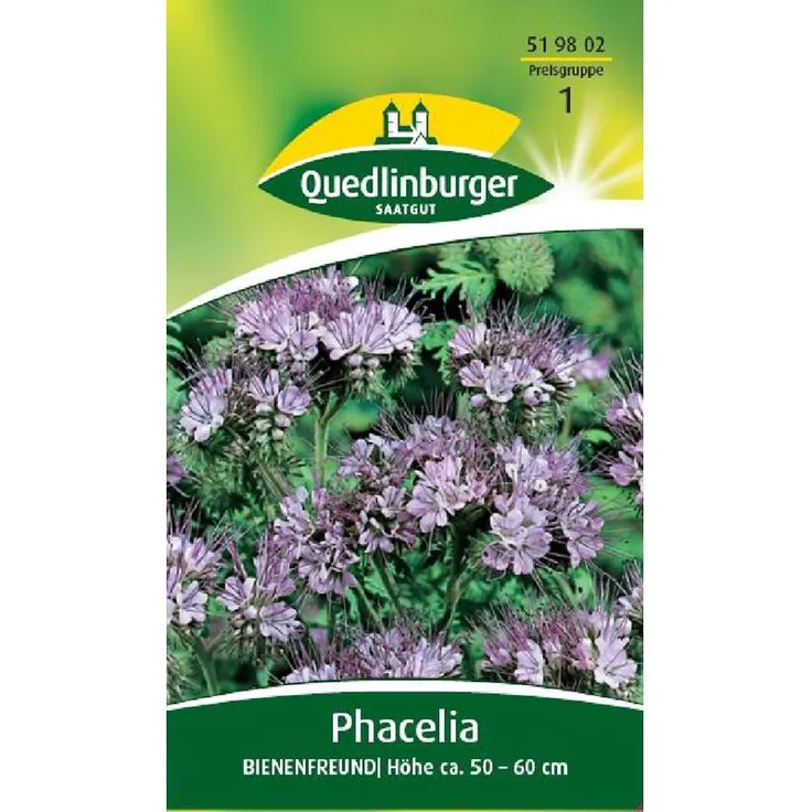 QUEDLINBURGER Phacelia, Bienenfreund