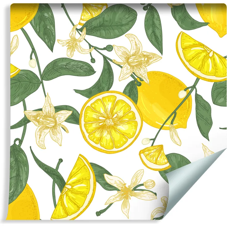 Muralo Tapete 10m Rolle Vlies Tapete Obst Zitronen Exotisch Saftig Frisch Pflanzen Vliestapete 1000 x 53cm Wand Tapete 