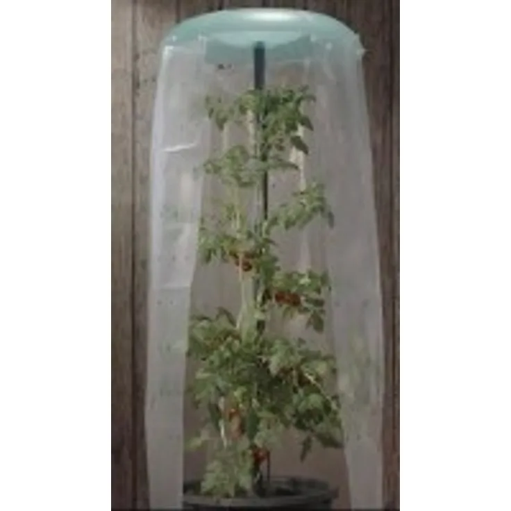 Tomatenhut 3er Set Anzuchthilfe für Tomaten- und Paprikapflanzen