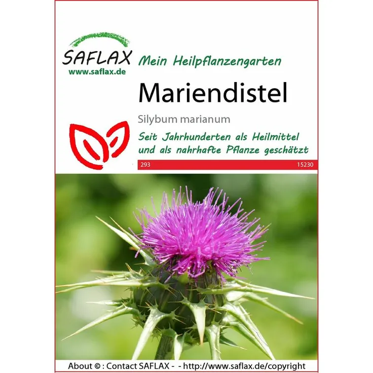 SAFLAX Mariendistel | Heilpflanzensamen von Saflax