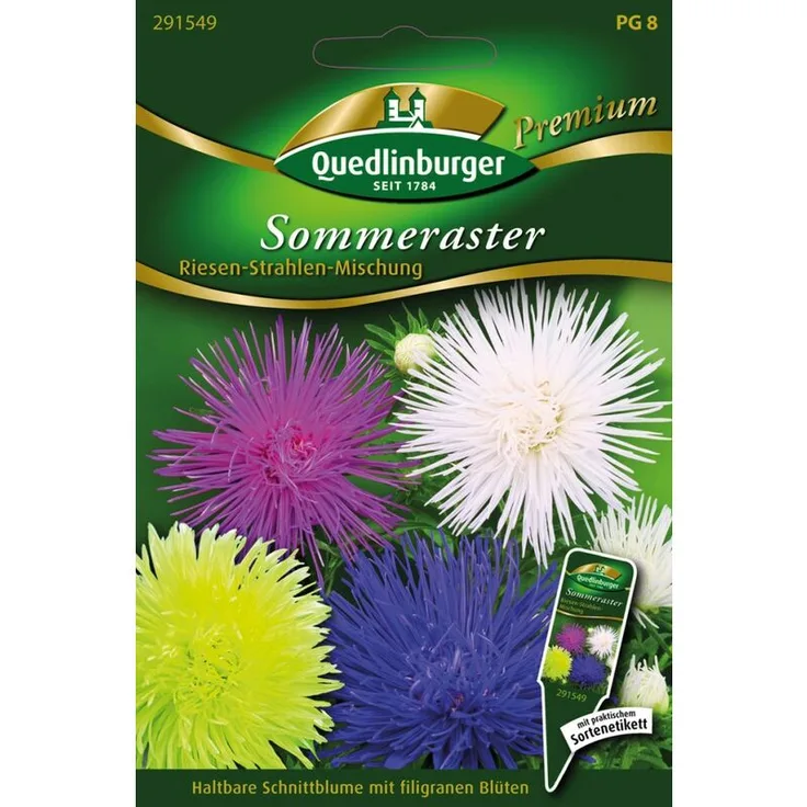QUEDLINBURGER SAATGUT Sommerastern Riesen Strahlen Saatgut | Asternsamen