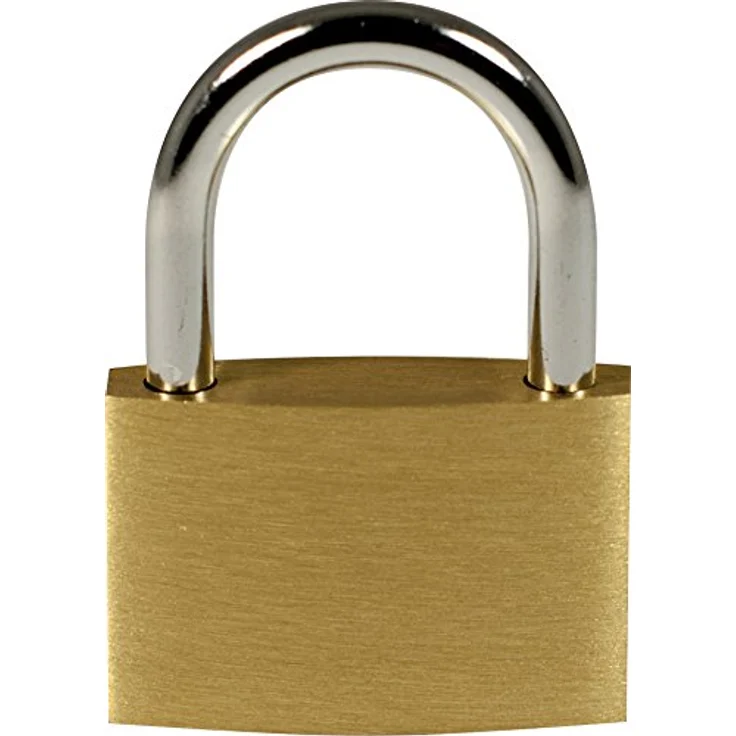 Pavo 8037292 Premium Vorhängeschloss mit 3 Schlüssel - aus Aluminium - Größe: 40 mm