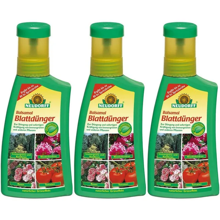 Neudorff 3 x 250 ml Balsamol Blattdünger Tannen Kiefern Wacholder Immergrüne