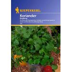 Kiepenkerl Koriander einjährig