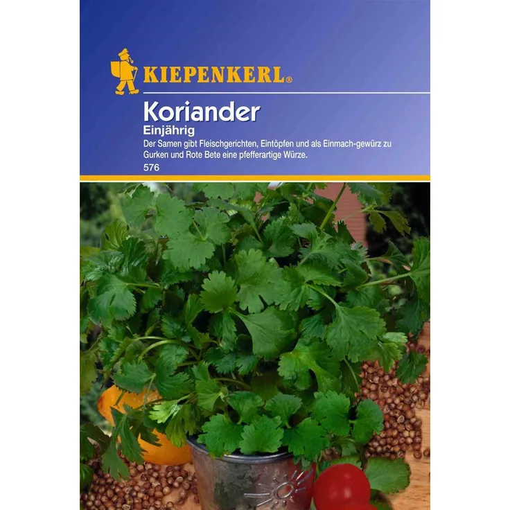 Kiepenkerl Koriander einjährig