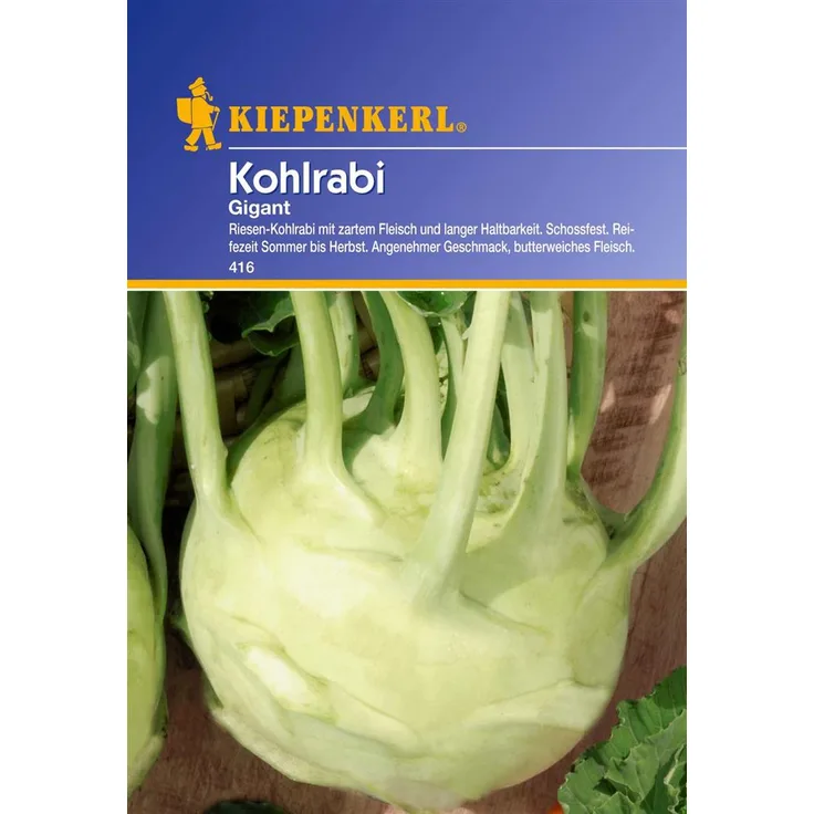 Kiepenkerl Kohlrabi Gigant weiss