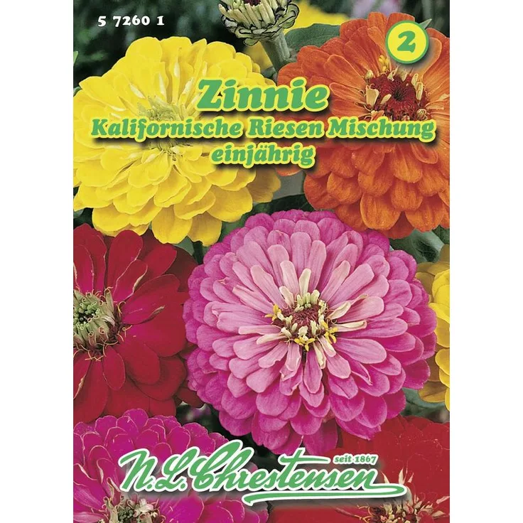 N.L. CHRESTENSEN Zinnie Kalifornische Riesen Mischung | Zinniensamen 