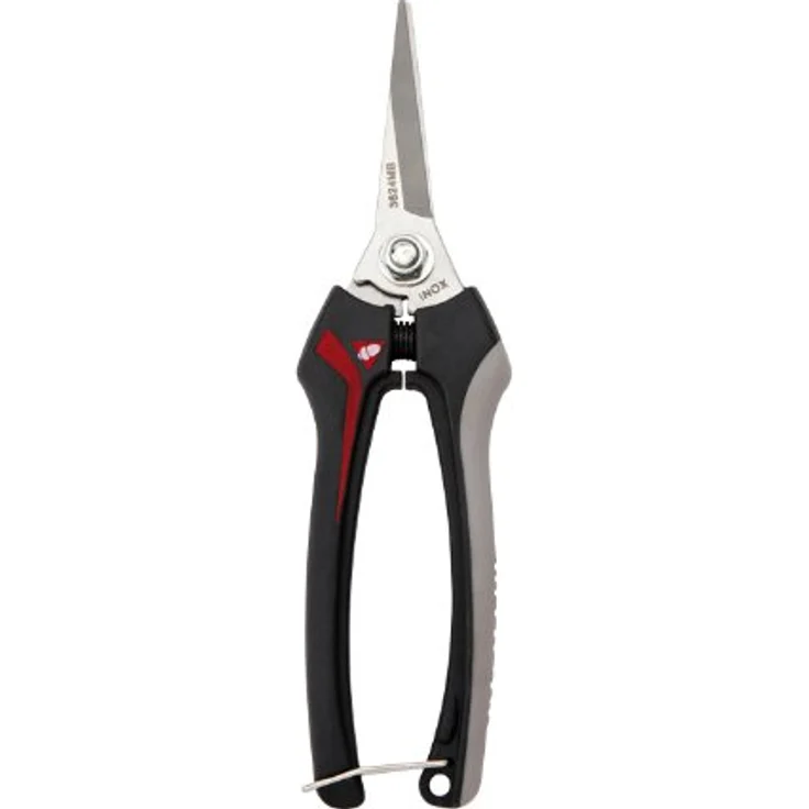 Bellota INOX- MB 3624 Traubenschere aus Edelstahl mittelgroß