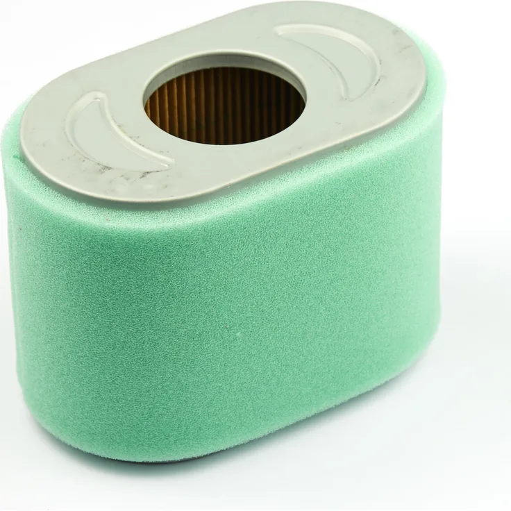 Briggs & Stratton Briggs und Stratton 797032 Air Filter