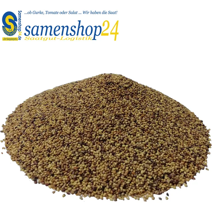 Samenshop 24 Samenshop24 Rotklee Gründünger & Bodenkur 1kg