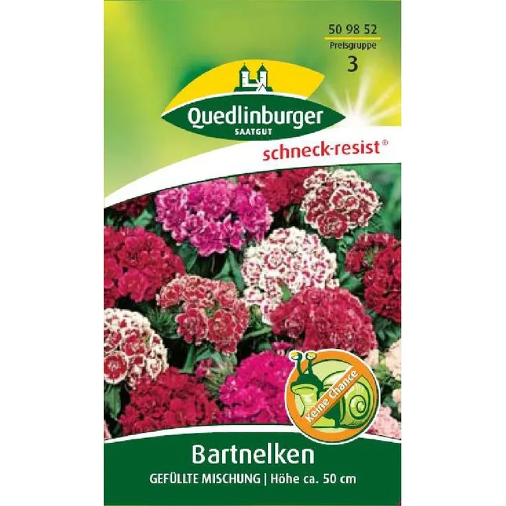 QUEDLINBURGER Bartnelke, Gefüllte Mischung