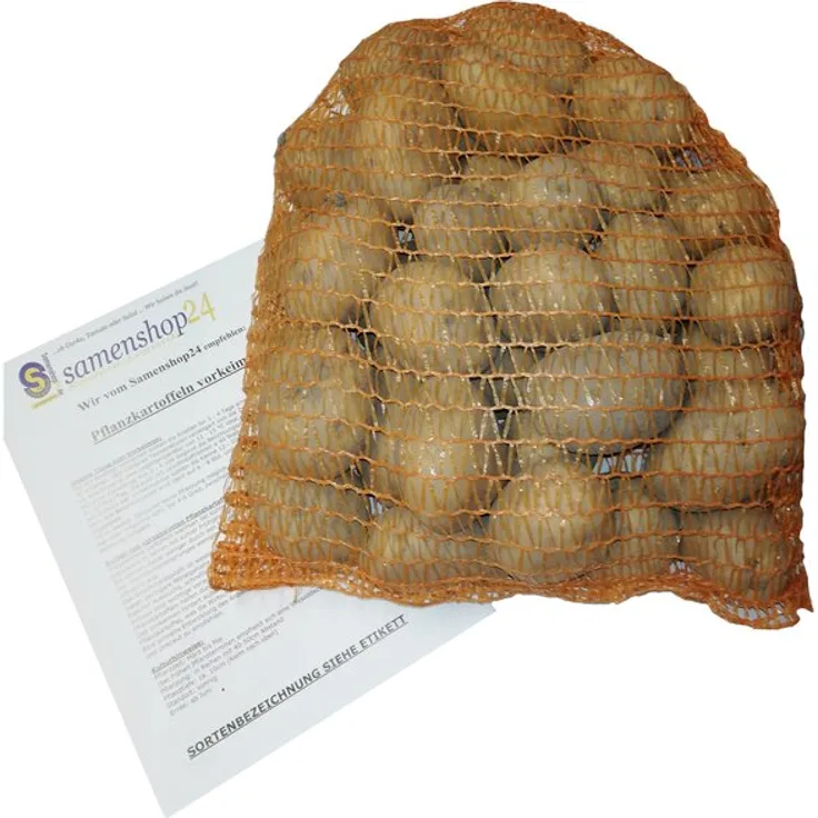 Samenshop24 Pflanzkartoffeln Laura, Inhalt: 2,5kg (ca. 35 Stück) mittelfrüh reifend, vorwiegend festkochend, gelbfleischig, lange lagerfähig