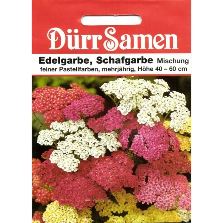DÜRR-SAMEN Dürr-samen - Edelgarbe & Schafgarbe Mischung | Garbensamen 
