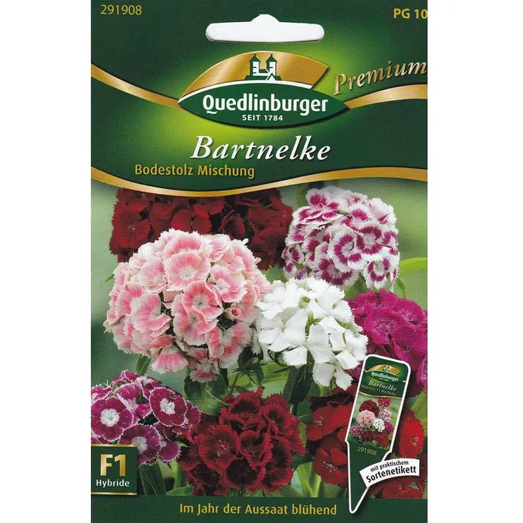 QUEDLINBURGER Bartnelke, Bodestolz Mischung F1