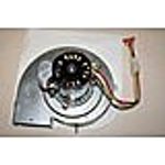 Pentair 472362 Gebläse mit Dichtung Ersatz Minimax Pool und Spa Heizung