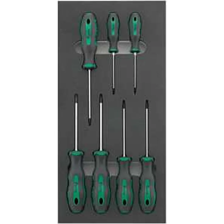 Fortis Werkzeugmodul 1-3 Schraubendreher Torx