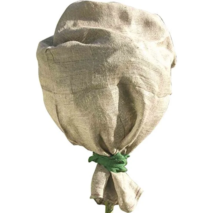 Star 3073170 Jute-Schutzsack eingefärbt 100 x 110 cm grün, Pflanzenwinterschutz