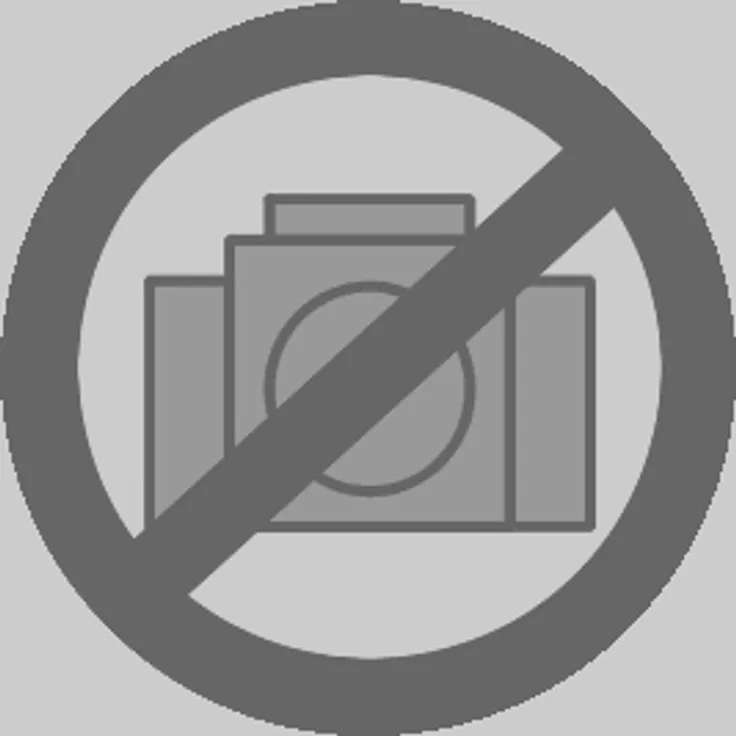 Fein 63806167020 Schleifteller