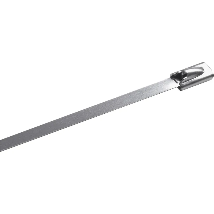 Meister Kabelbinder - Praktisches Set - 10 Stück - 300 x 4,4 mm - Aus Edelstahl - UV-Beständig - Langlebig & robust - Kabelbinder-Set für Motorschläuche - Kabelverbinder - 7452410