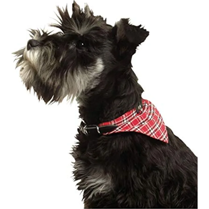 Karlie Hundehalsband mit Lederband 37 cm, rot