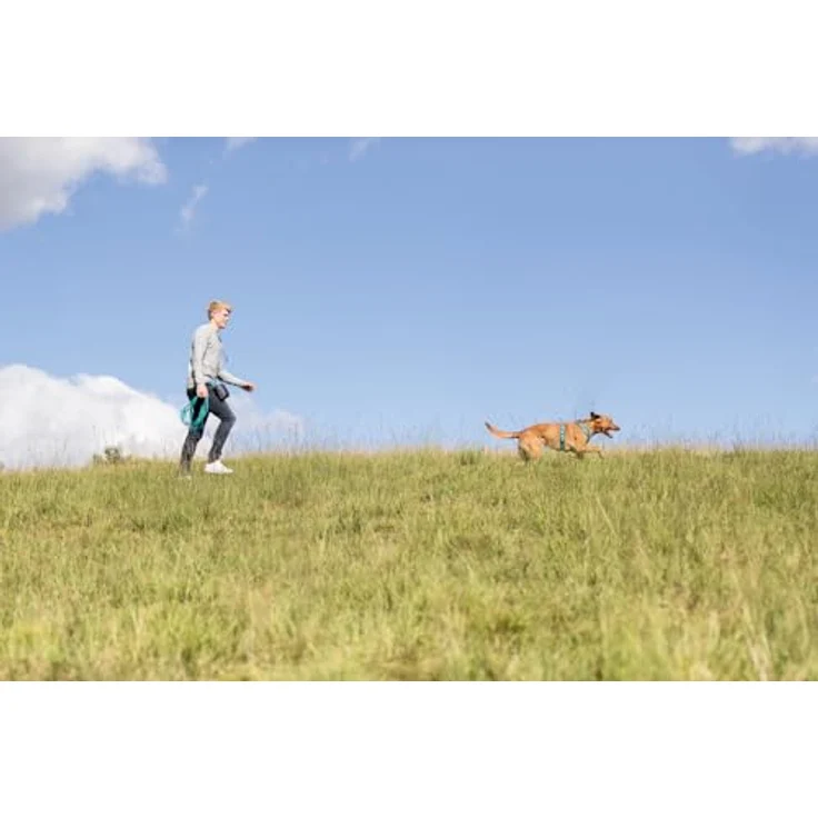 TRIXIE Schleppleine M–L, 5 m 13 mm in neongelb - Schleppleine wasserabweisend und abwischbar - für mittelgroße bis große Hunde - 20725 – Bild 2
