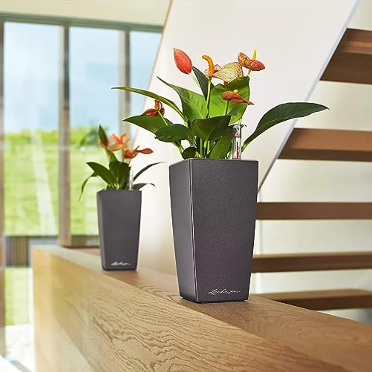 LECHUZA MINI-CUBI anthrazit metallic 18123 – Bild 2
