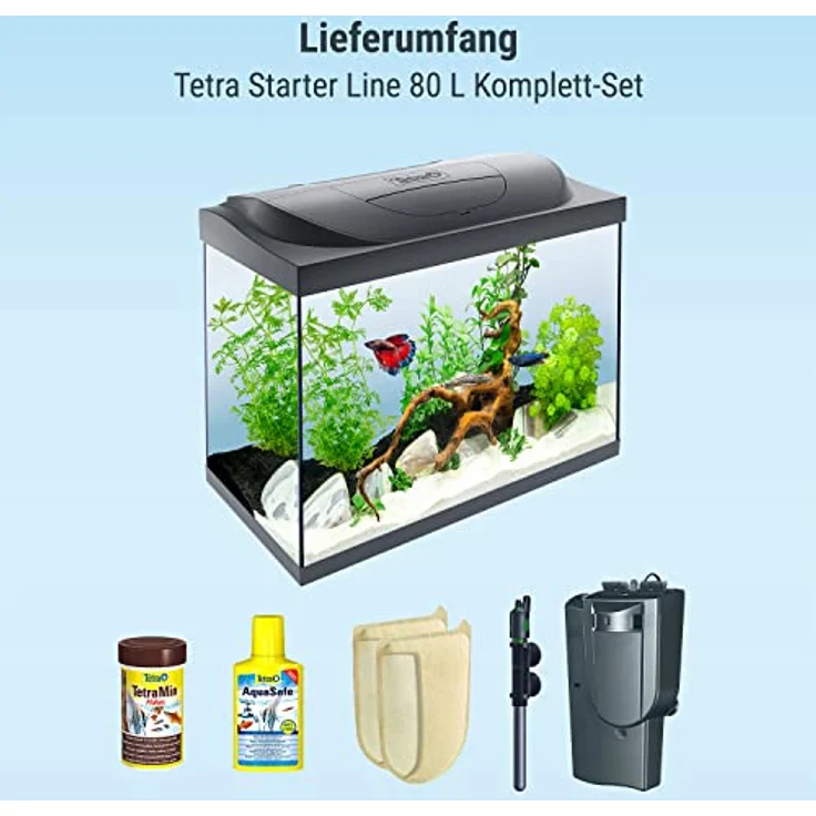Tetra Starter Line 80 L Aquarium Komplett-Set - inkl. Tag- & Nachtlicht LED-Beleuchtung, Innenfilter, Heizer, Fischfutter und Wasseraufbereiter – Bild 5