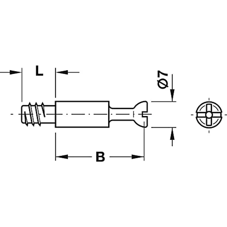 Exzenterbolzen 34mm S100 für Bohrloch-Ø5mm + Exzenterverbinder Minifix 15 (10) – Bild 4