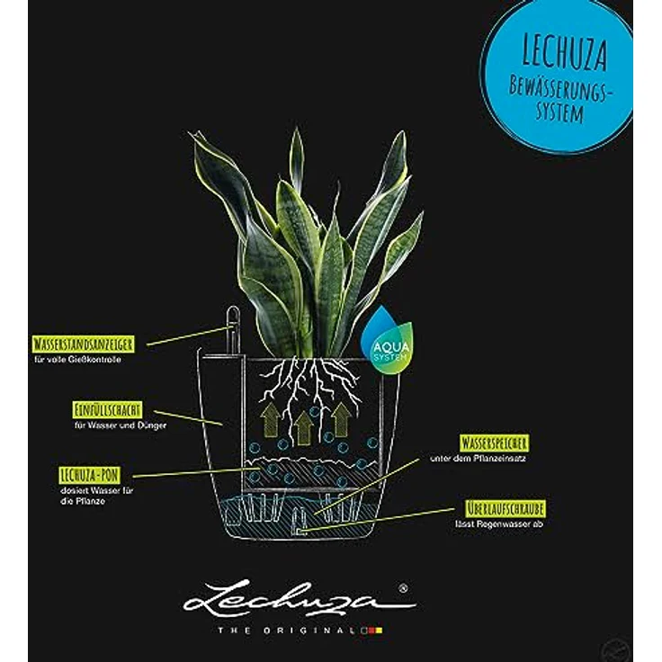 LECHUZA CLASSICO Color 18 sandbraun 13264 - Preisvergleich – Bild 5