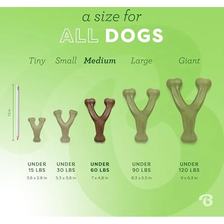 Benebone Wishbone Echter Speck Medium Langlebiges Hundekauspielzeug für Aggressive Kauer – Bild 4