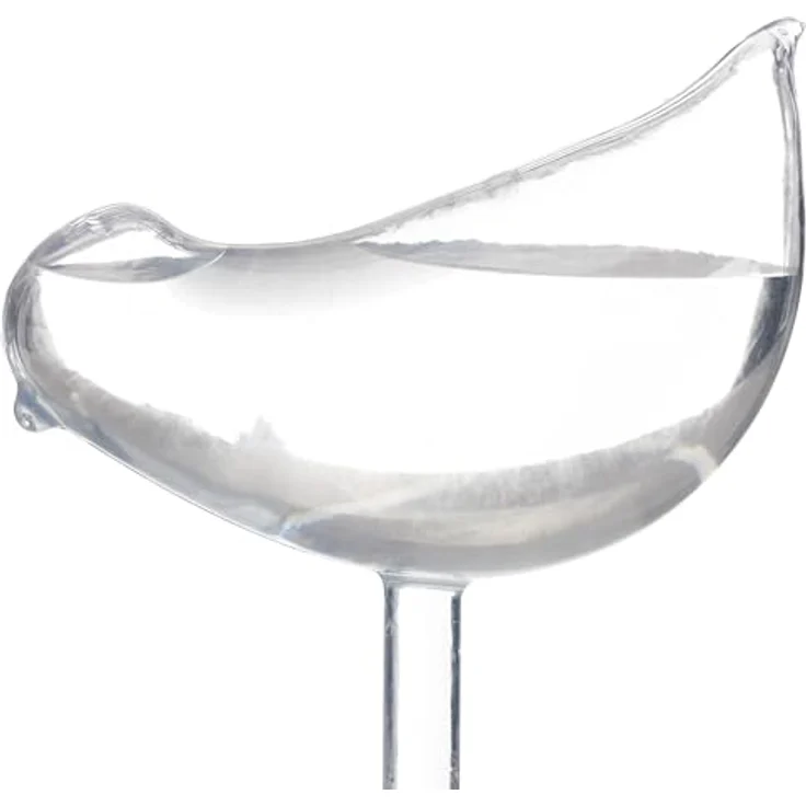 relaxdays Bewässerungskugel Vogel transparent, 12er Set mit dosierter Wasserabgabe für Topfpflanzen – Bild 6