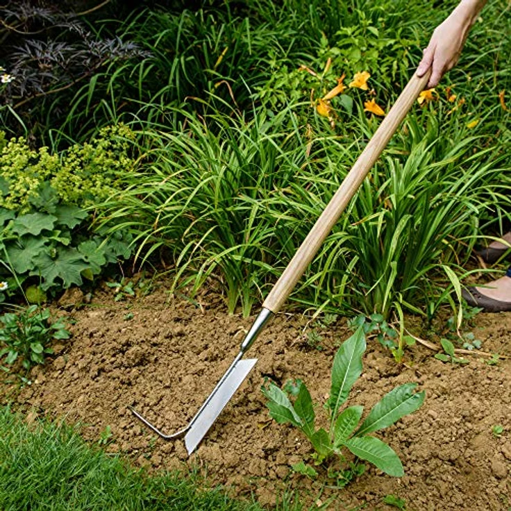 Kent & Stowe Langstiel 2in1 Unkrautentferner – Unkrautjäter mit Kratzzinke & Schneidklinge aus Edelstahl, Mooskratzer mit Holzstiel, Länge: 157 cm – Bild 3