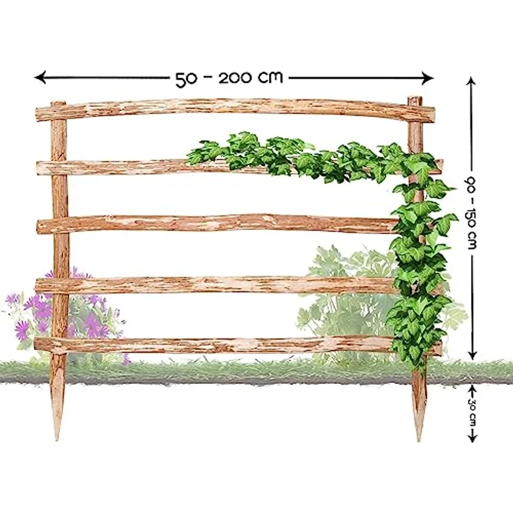 BooGardi Natürliche Rankhilfe aus Holz · 33 Verschiedene Größen · Höhe 120 x Breite 50 cm · Garten Rankgitter Kletterhilfe · Spalier freistehend für Kletterpflanzen – Bild 2