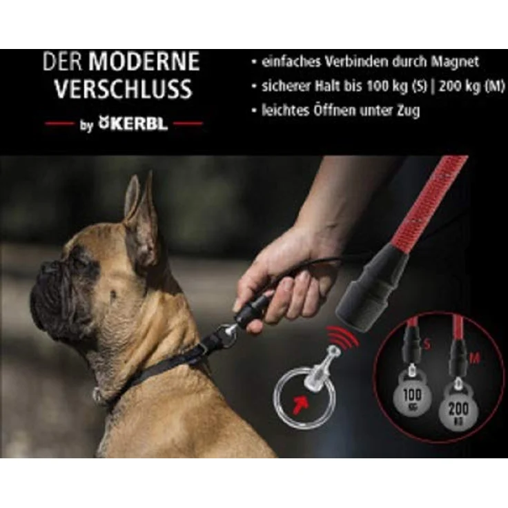 GOLEYGO Hundeleine Vegas, Braun, Echtes Leder, Größe M 1,05-1,65m, Sicherer Magnetverschluss, Inkl. Adapter-Pin, Hundeleine für kleine Hunde bis 60kg, Maximale Belastung 200kg – Bild 3