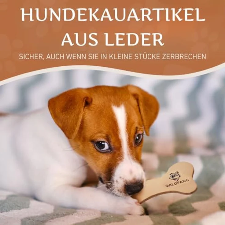 Wildfang® 1 Lederknochen Hund, Größe S – Natürliches Kauspielzeug aus Fettleder für Zahnpflege & Stressabbau, langlebig und sicherer Hundesnack aus EU-Rindsleder für alle Rassen – Bild 5