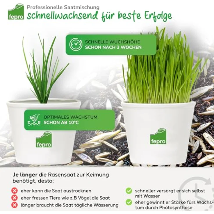 BELKO 5kg Rasensamen Sport und Spiel, schnellkeimend, robust und tiefgrün, ideal für Neuansaat und Nachsaat, 200m², Pflegeleicht, Frühjahrseinsatz – Bild 5